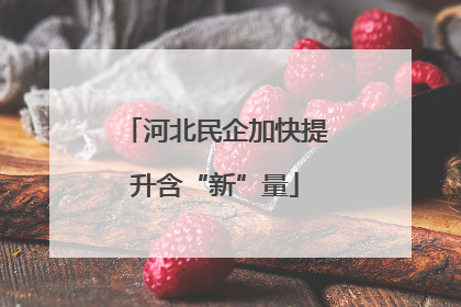 河北民企加快提升含“新”量